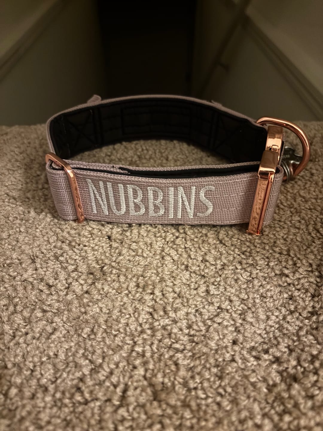 Customer photo review of 1.5" Tacti Dog Collar Slim Luxe - Rose Gold - Sofia