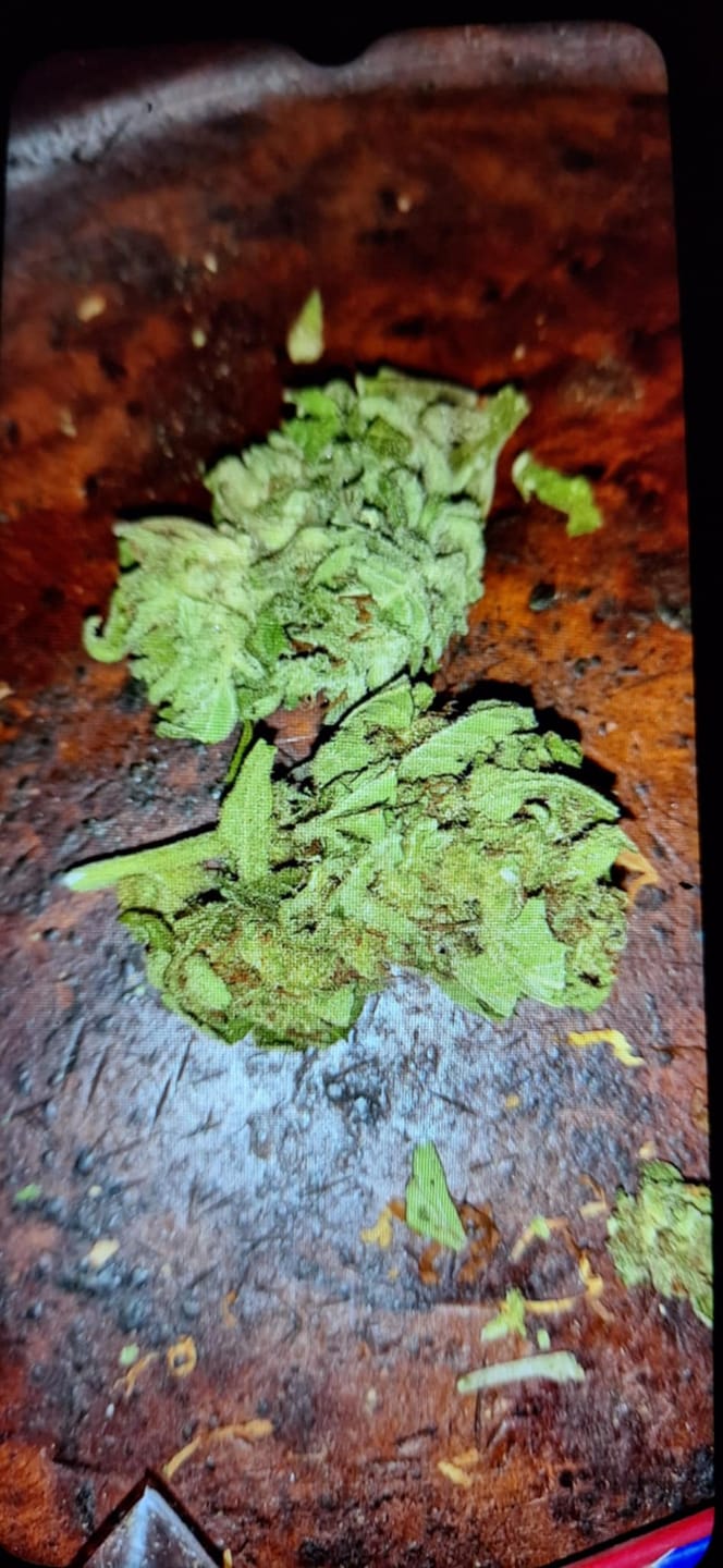 Customer photo review of Fleurs THX - Strawberry Cough Greenhouse 22%