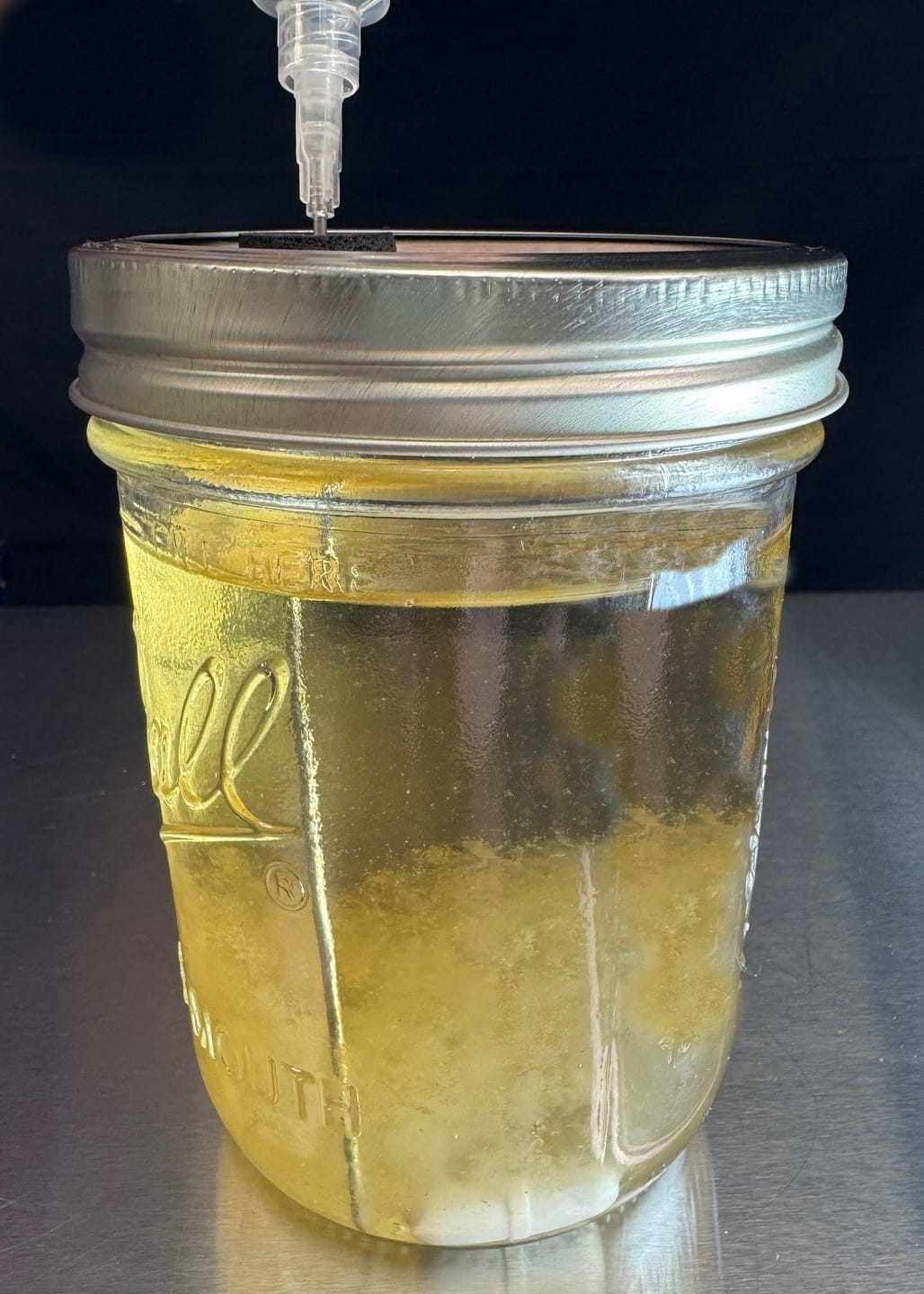 Customer photo review of The Deep Draw Extra Long 5 Inch 16G Disposable Sterile Syringe Needles