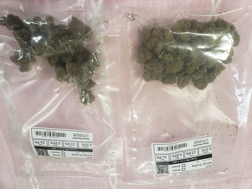 Customer photo review of White Truffle