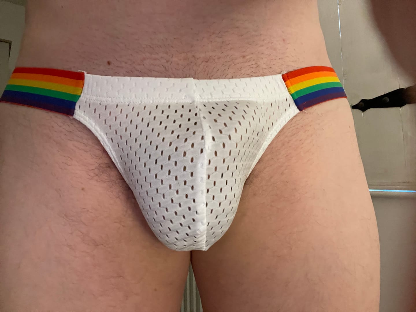 Customer photo review of Men's Sexy Rainbow Pride Mesh Bikini