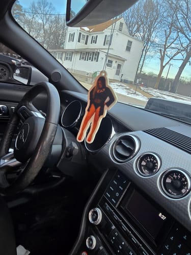 Customer photo review of Custom Shape Air Freshener