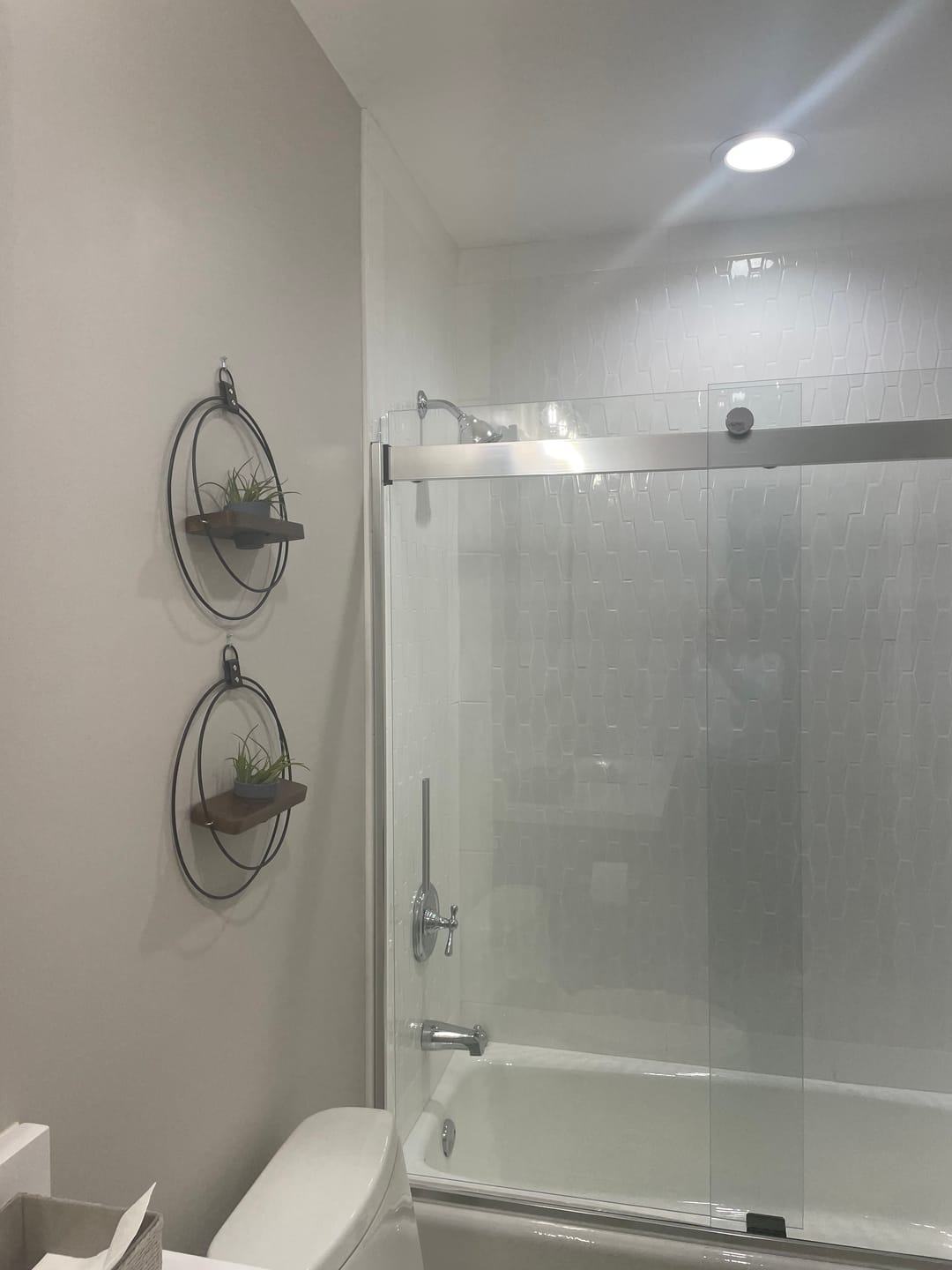 Customer photo review of Air Plant Shelf + Pot Duo