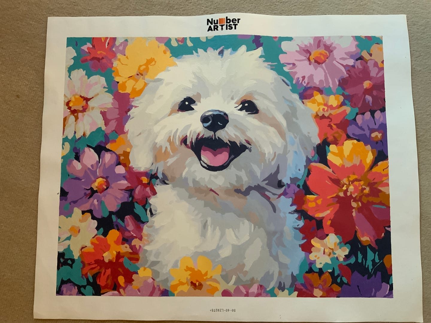 Customer photo review of Bichon Frise