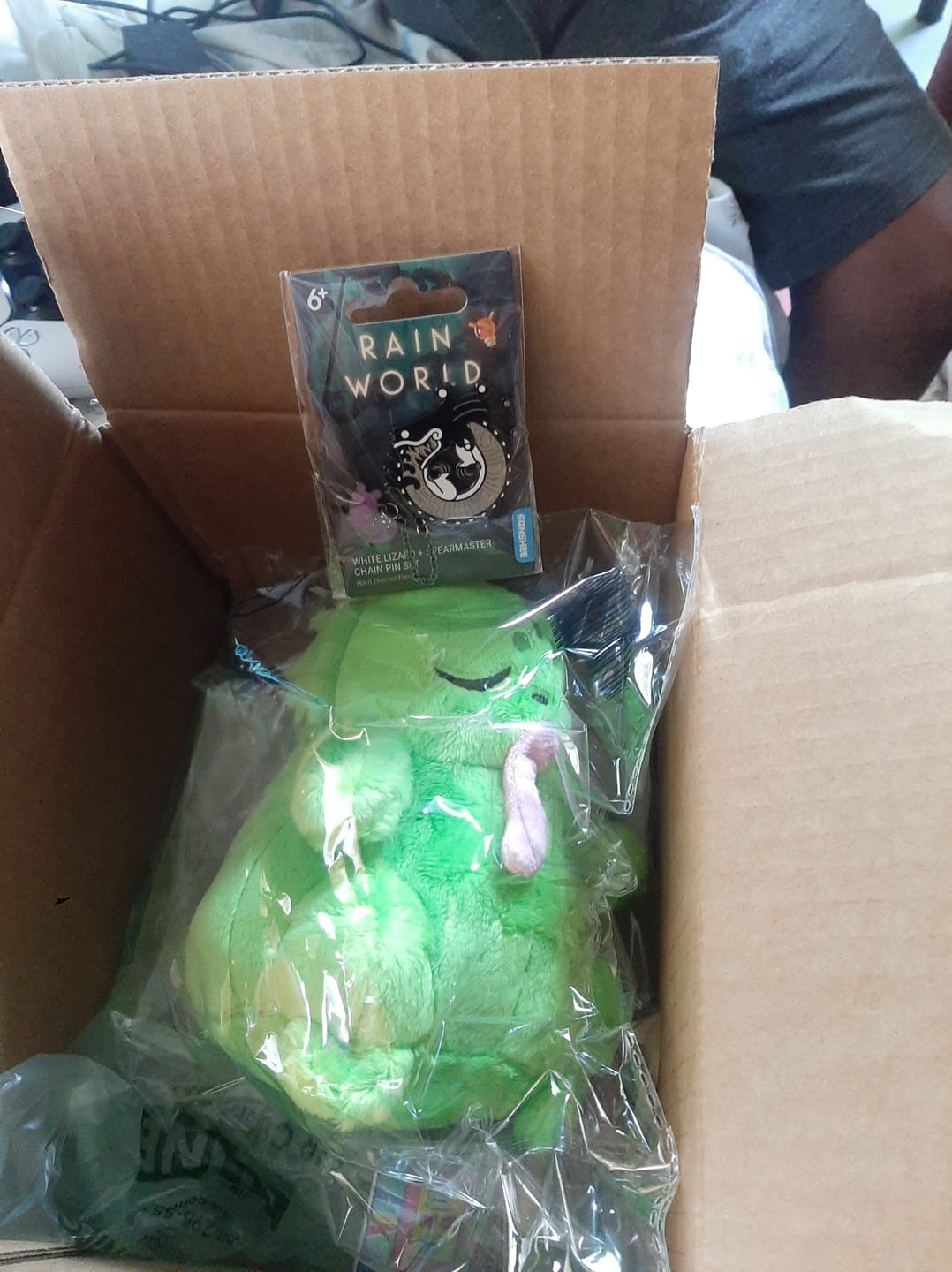 Customer photo review of Rain World - White Lizard Hanger Pin