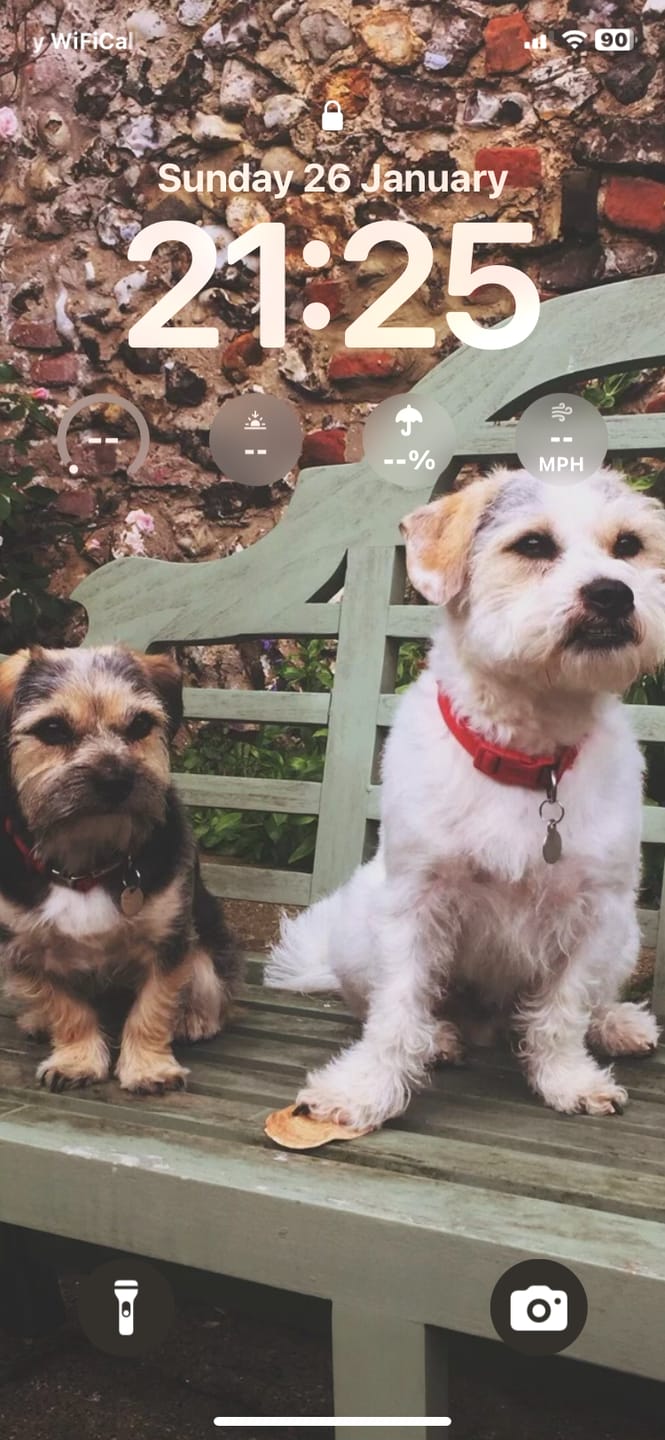 Customer photo review of Glucosamine Powder For Dogs