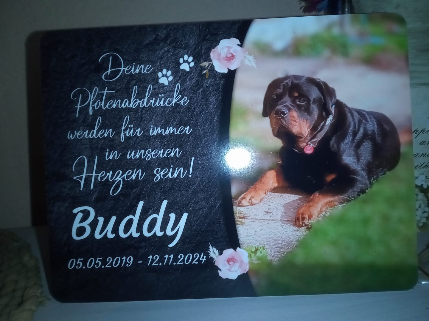 Customer photo review of Hunde Gedenktafel mit Foto & Spruch (UV- & Wetterfest)