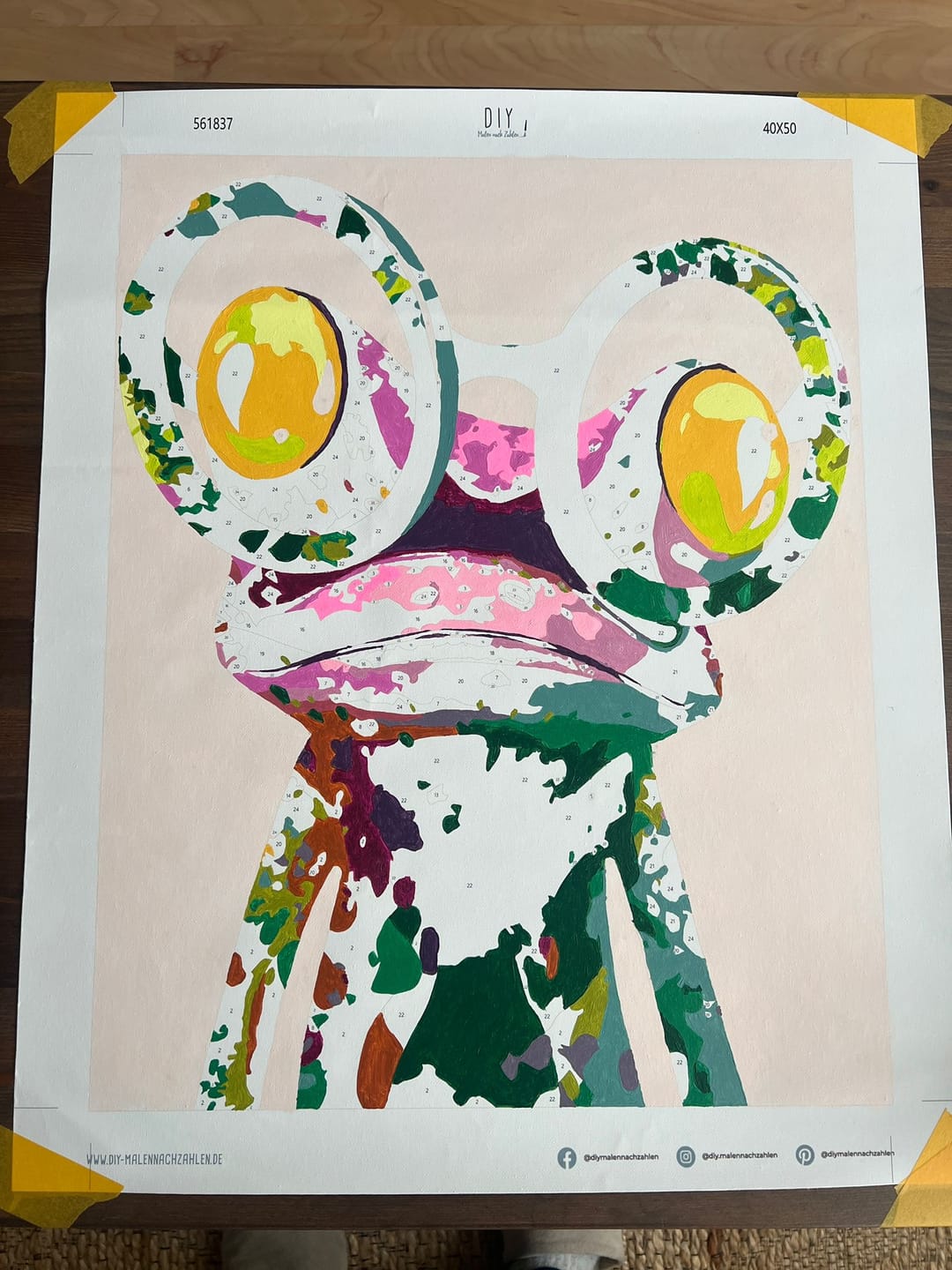 Customer photo review of Malen nach Zahlen - Fröhlicher Frosch