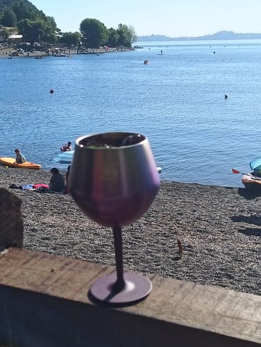 Customer photo review of Copa Cóctel Stanley Royal Purple Haze | 414 ml