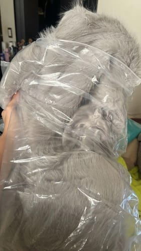 Customer photo review of Jenna Faux Fur Coat