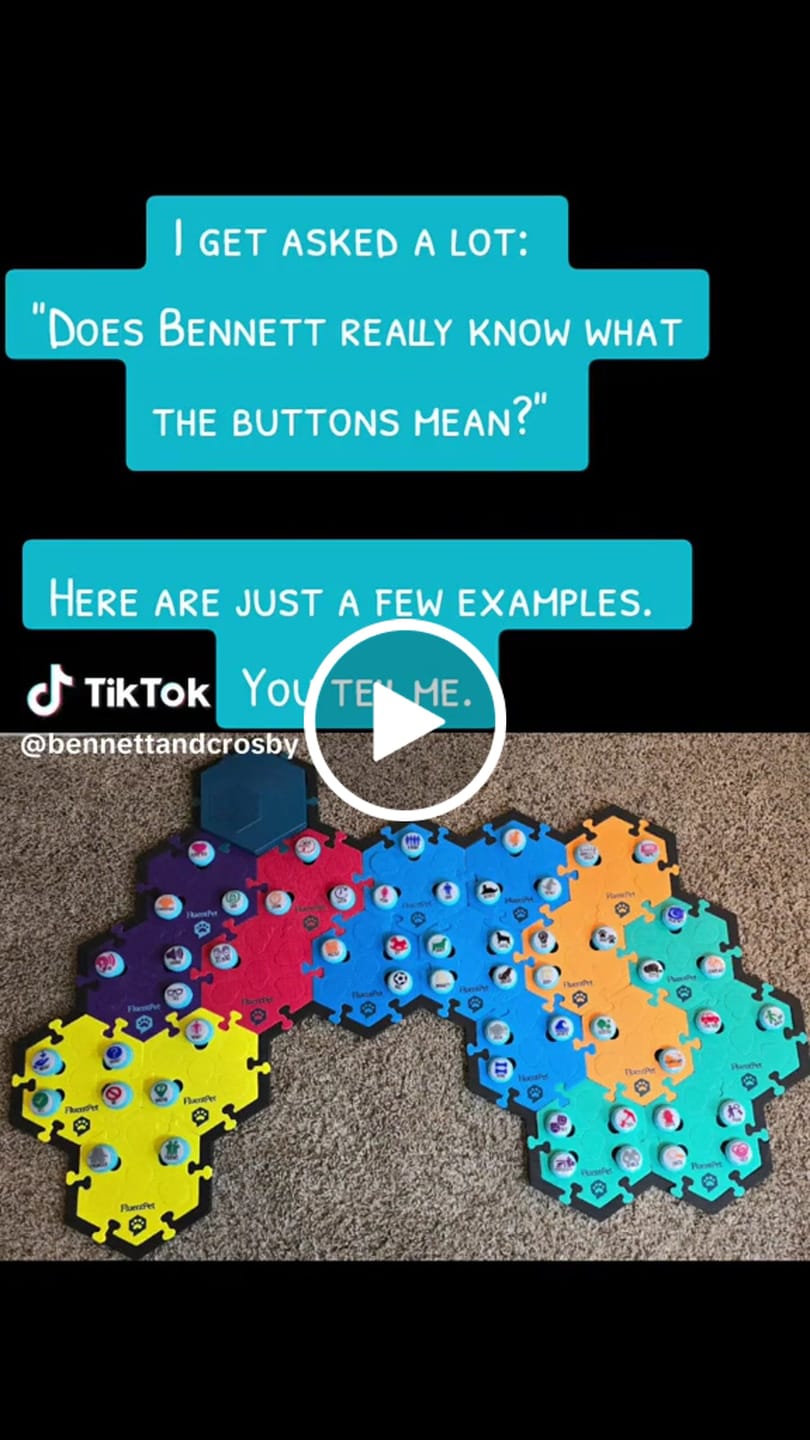 Customer video review of Connect 12-Button Expansion Kit