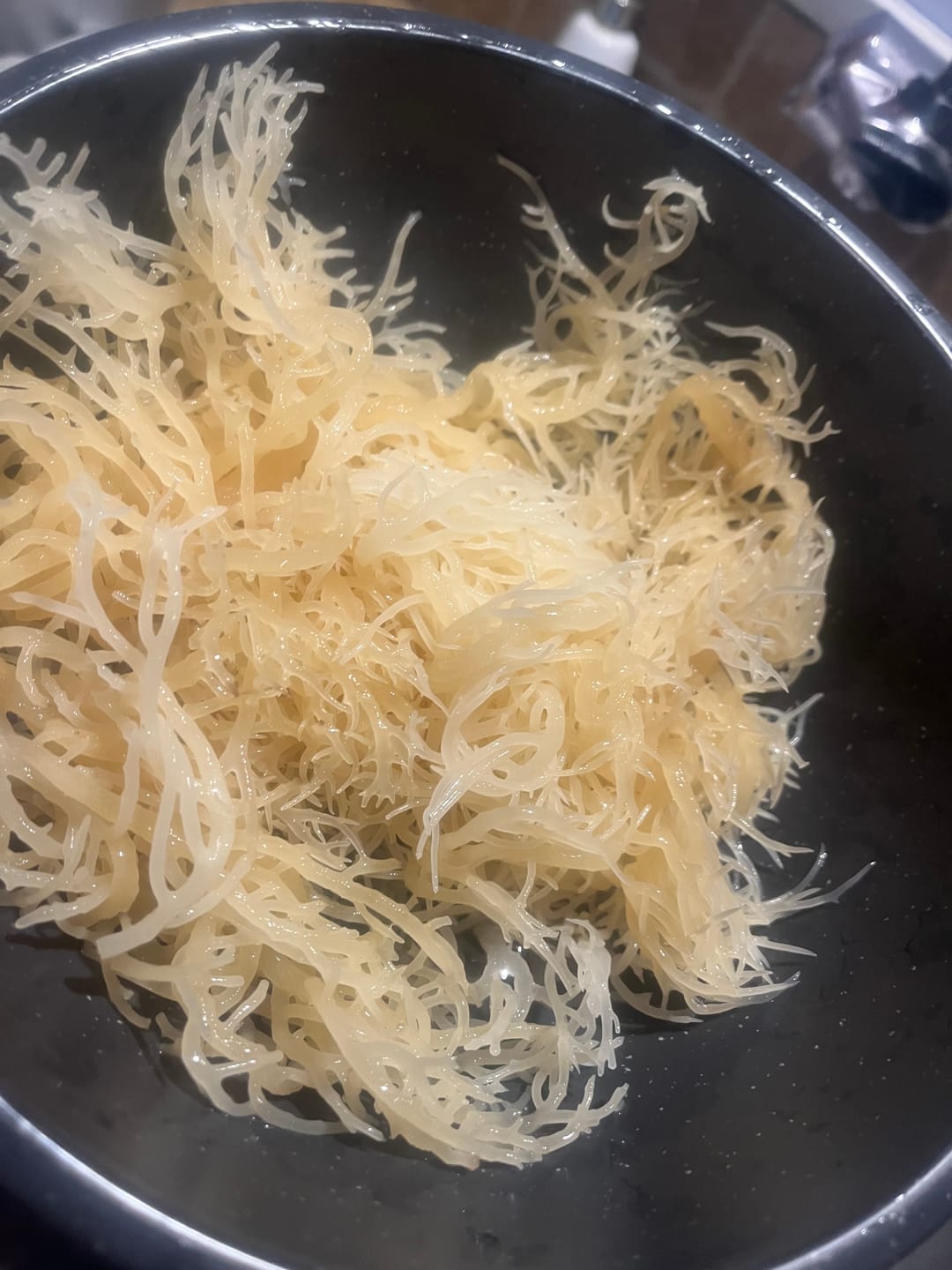 Customer photo review of Raw Wildcrafted Sea Moss 4oz