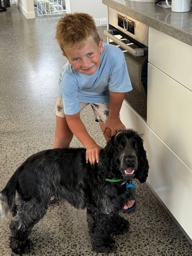 Customer photo review of FurLife™ 12 Months Flea and Tick Free