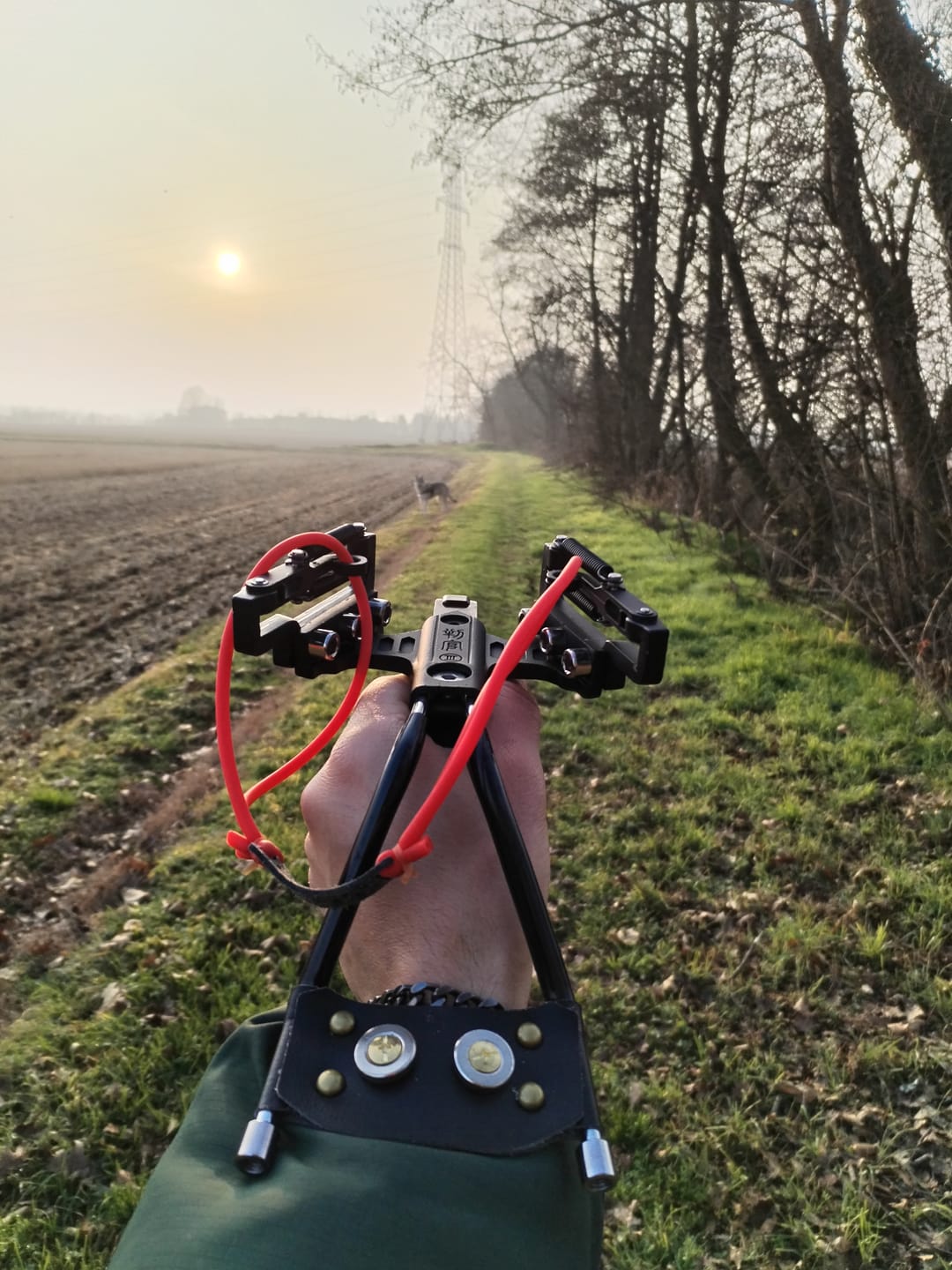 Customer photo review of Fionda Mark 2