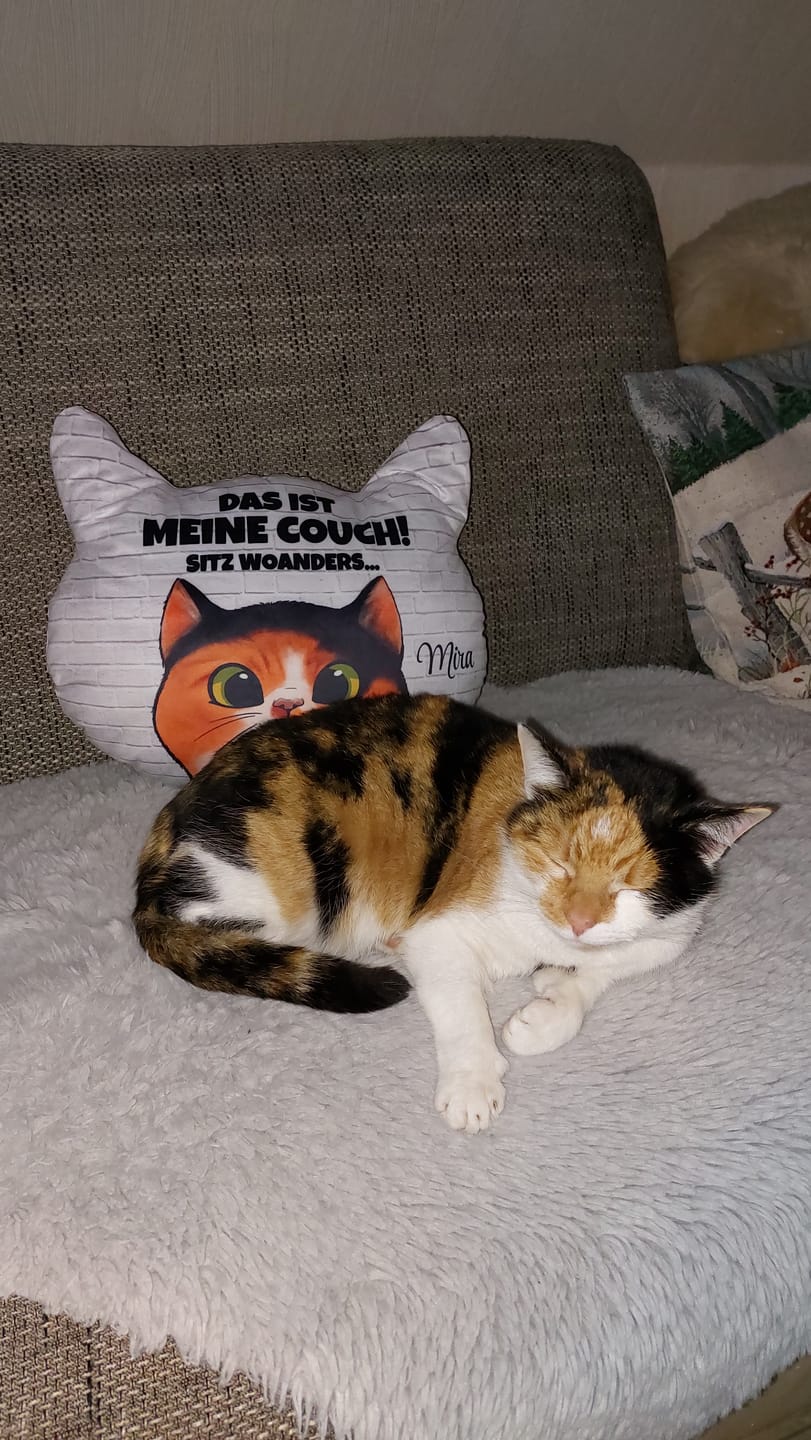Customer photo review of Unsere Couch - Individuelles Formkissen