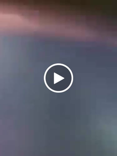 Customer video review of Exotic Shake