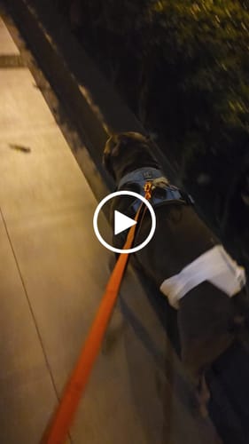 undefined review of Ladder Combat® Lead - Multiple Handles - Orange image 1 out of 1