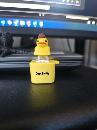 Customer photo review of Quackey - Fidget Toy that Quacks!