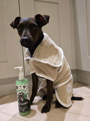 Customer photo review of Wild Lemongrass All in 1 Dog Shampoo with Shed Control