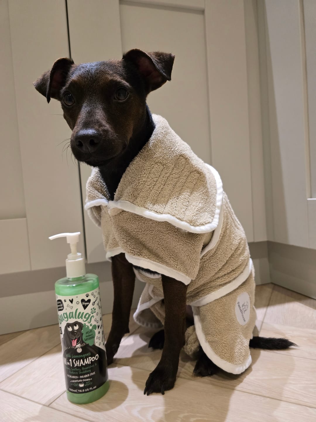 Customer photo review of Wild Lemongrass All in 1 Dog Shampoo with Shed Control