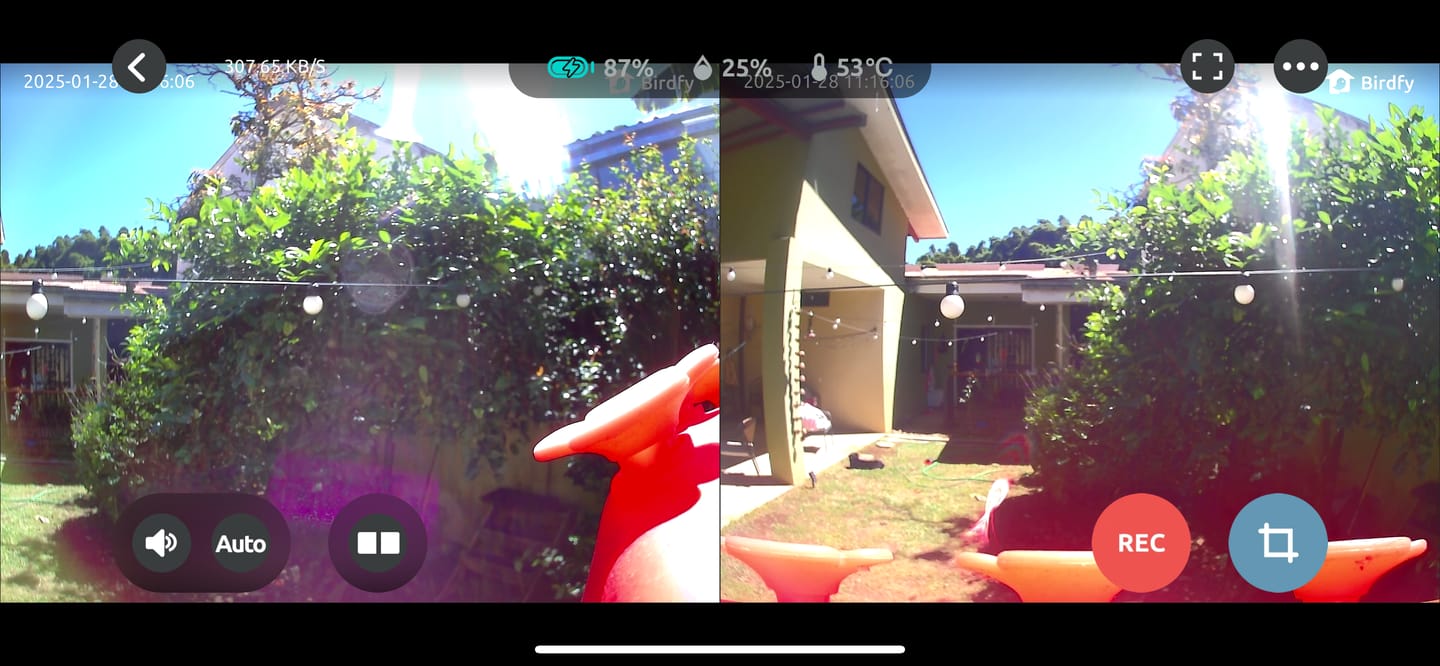 Customer photo review of Birdfy Hum Feeder Duo - Hummingbird Feeder with Dual Camera