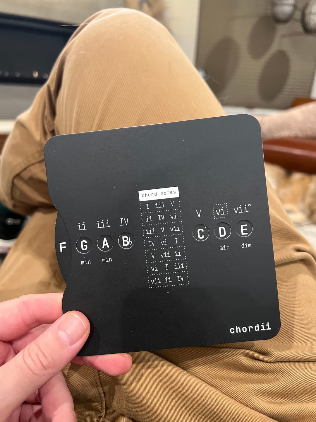 Customer photo review of Chordii