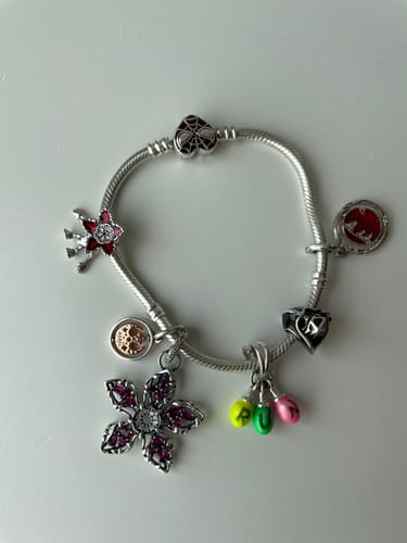 Customer photo review of Charm Anakin Skywalker