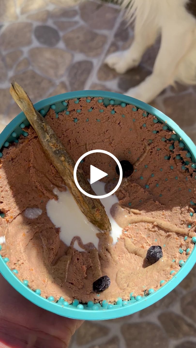 Customer video review of Wild Pork