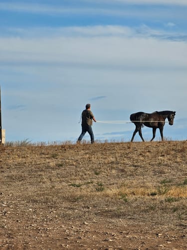 Maggie C. review of Epona Maxi Grooming Kit image 1 out of 1