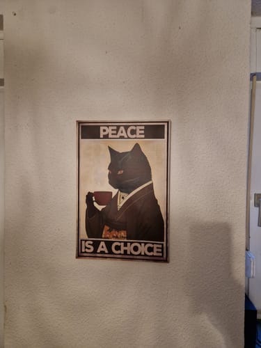 Customer photo review of Peace is a choice