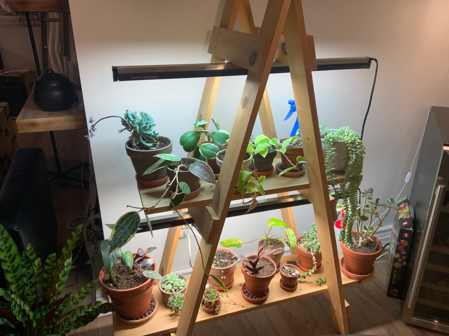 Customer photo review of Sunblaster Replacement Lamp