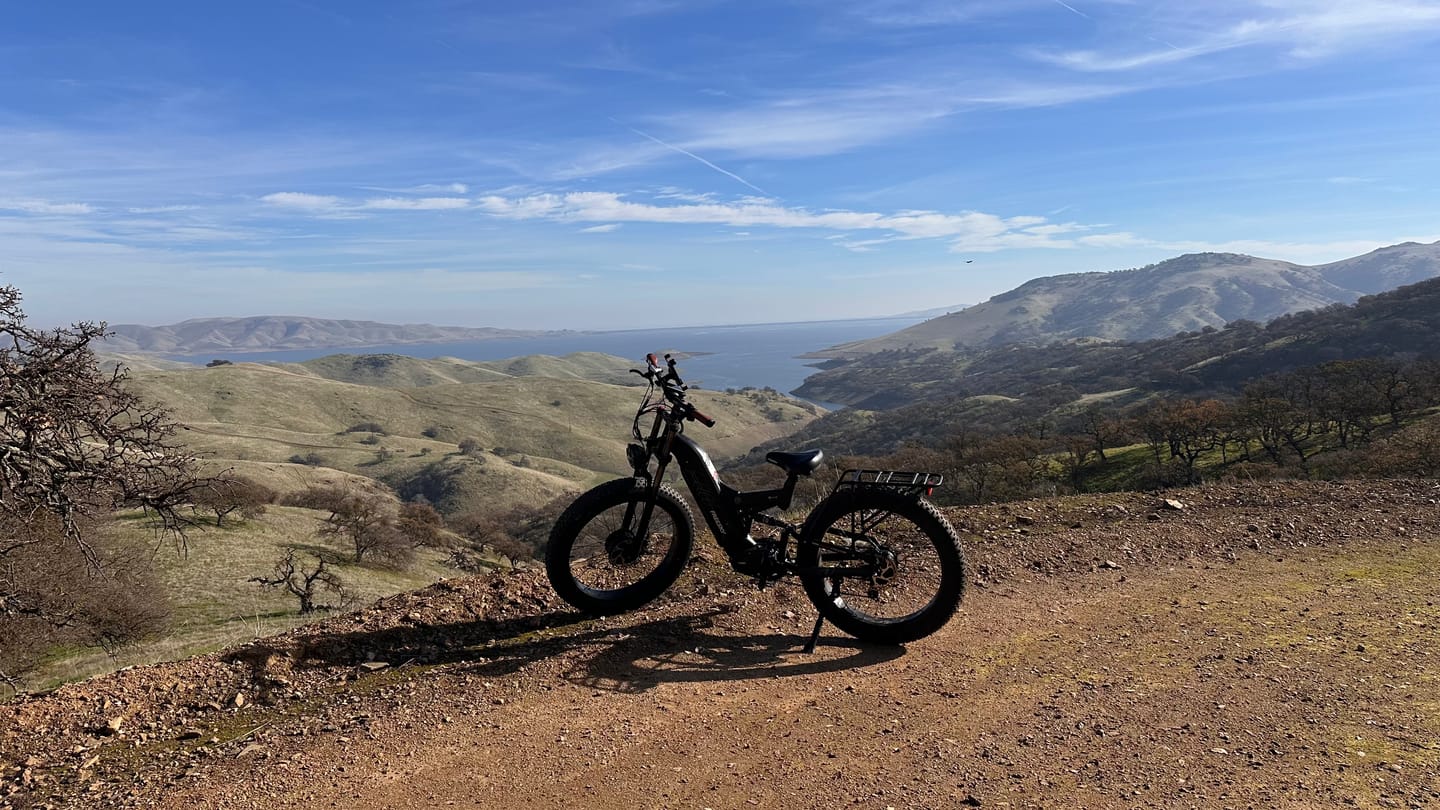 Customer photo review of Twist Throttle with Grips