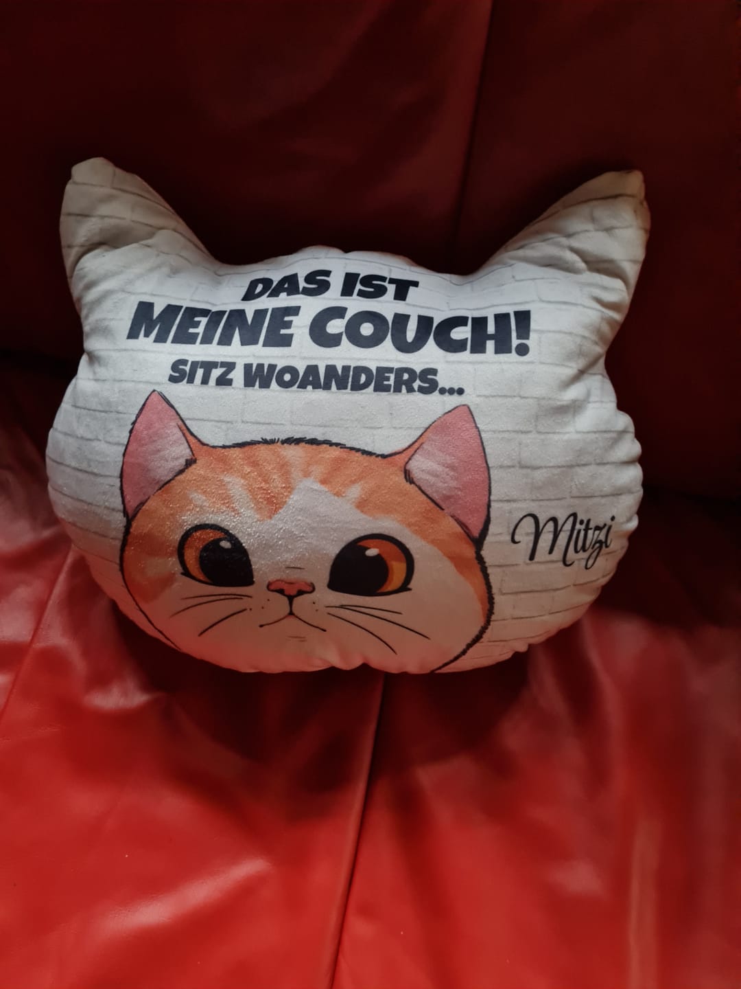 Customer photo review of Unsere Couch - Individuelles Formkissen
