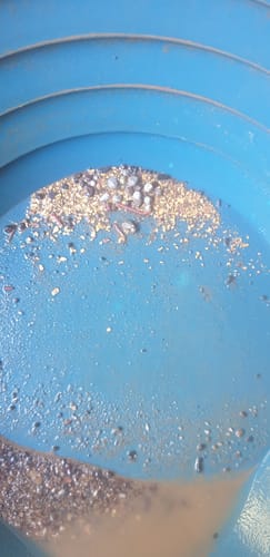 Customer photo review of Clean Up Buddy Kit