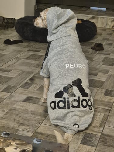 Customer photo review of Felpa "Adidog" Grigia Personalizzabile con nome