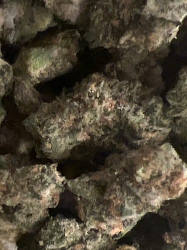 Customer photo review of Blue Biscotti Smalls