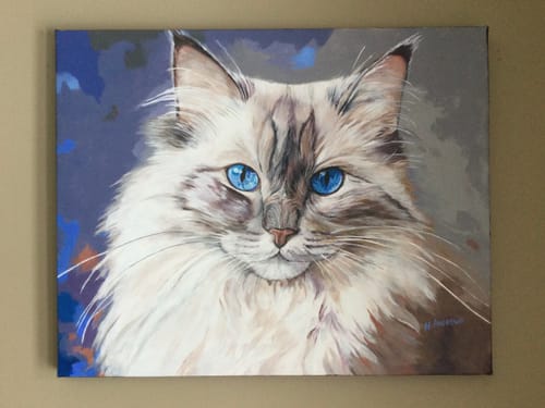 Customer photo review of Birman Cat No 2