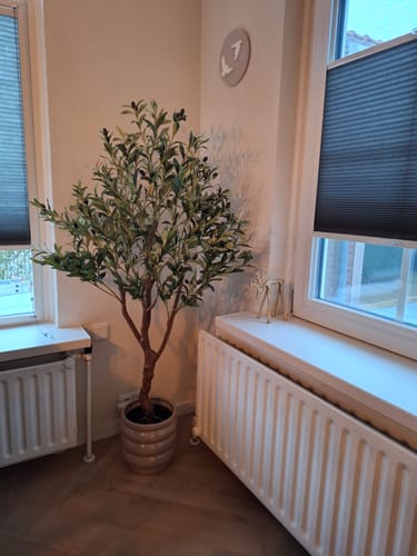 Customer photo review of Kunst Olijfboom 150cm