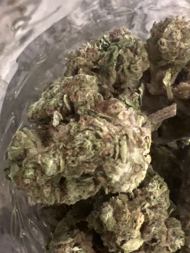 Customer photo review of Sour Tangie