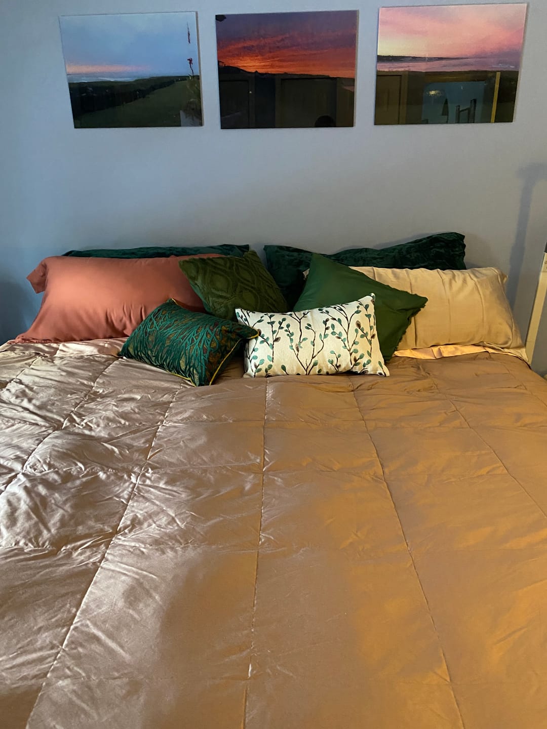 Customer photo review of Deluxe Silk Goose Down Comforter