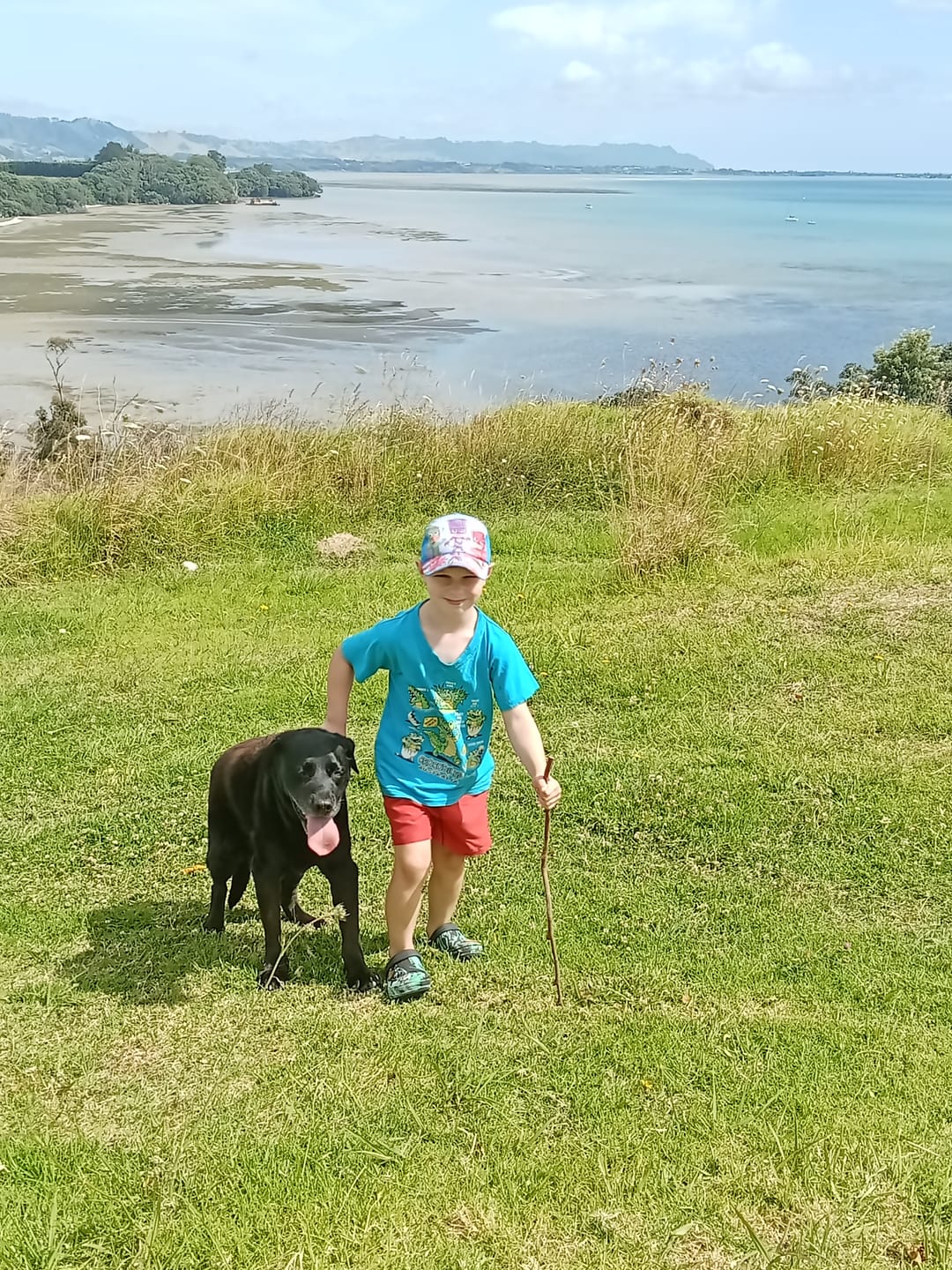 Customer photo review of Green Lipped Mussel capsules for Dogs - Hip & Joint Health