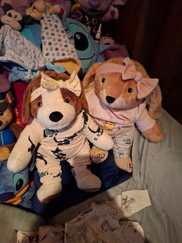 Customer photo review of Lotgenootje Hond 2kg