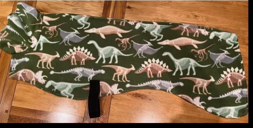 Customer photo review of Dino Skeletons on Green Anti Pill Polar Fleece Fabric