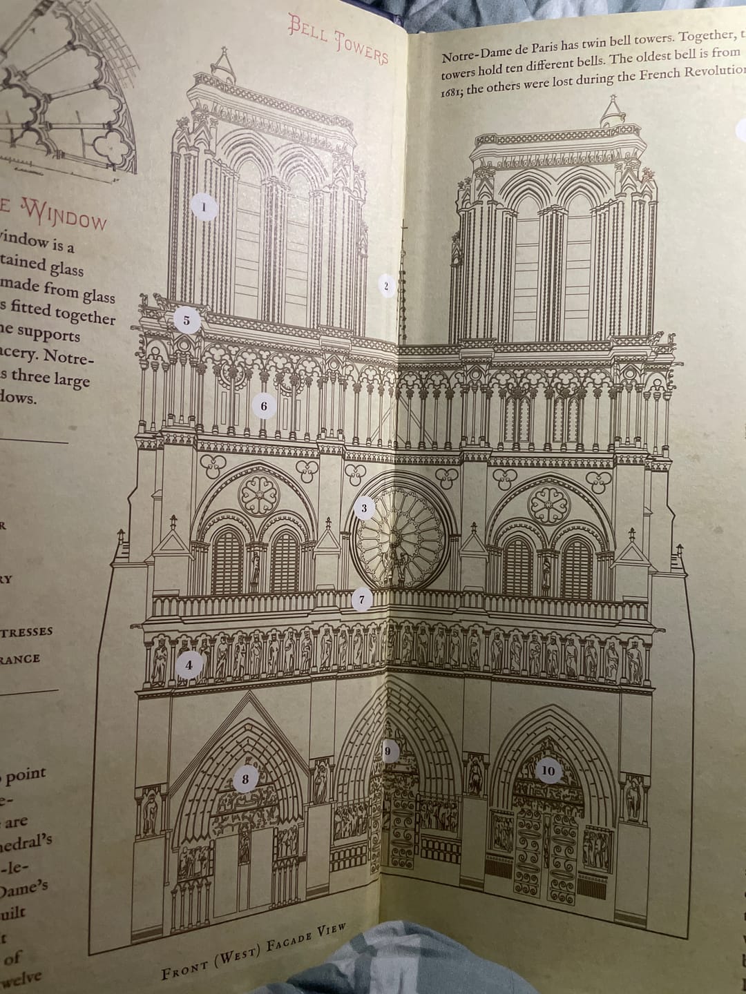 Customer photo review of The Girl and the Cathedral: The Story of Notre Dame de Paris
