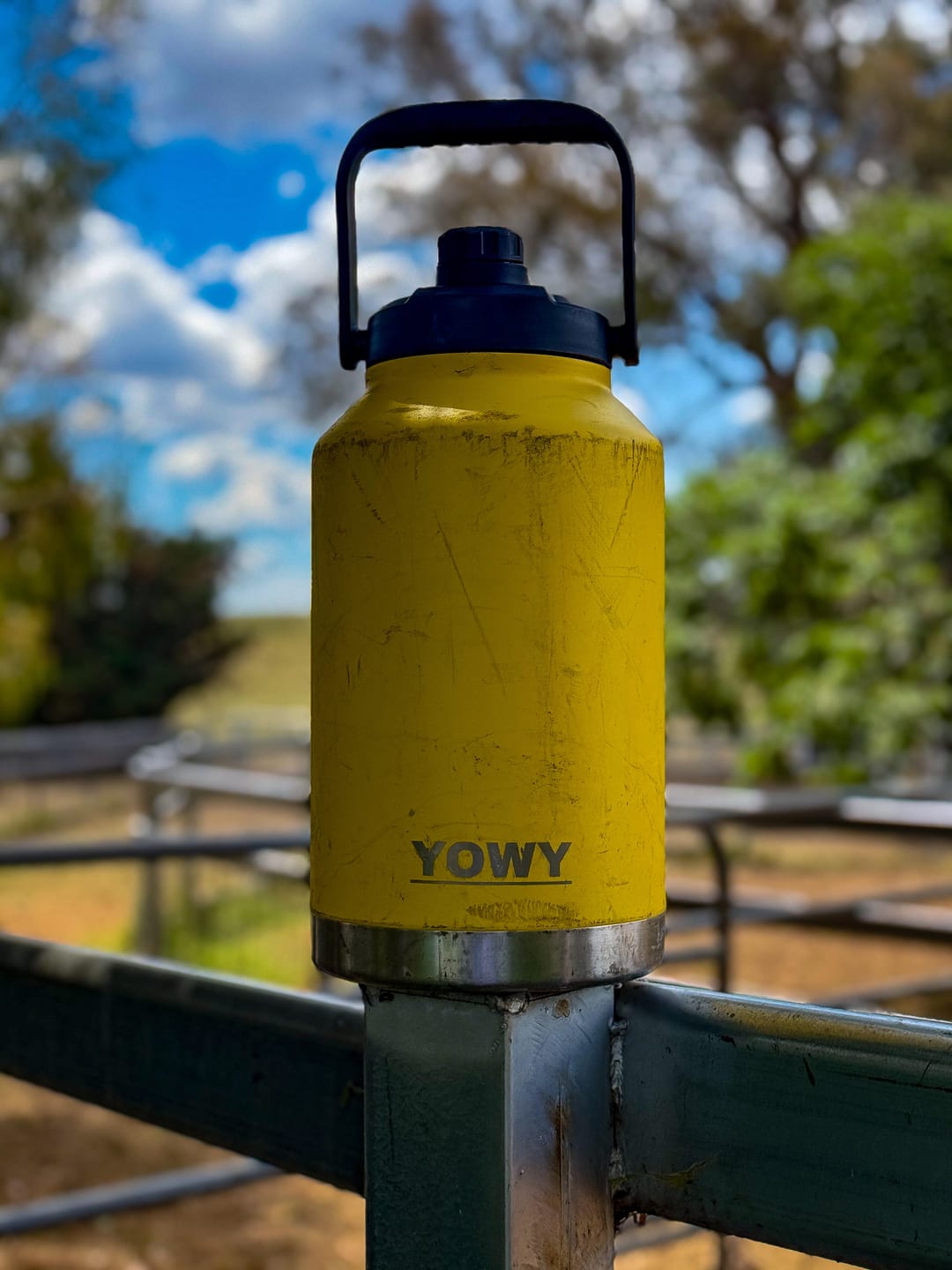 Customer photo review of 5.8L Yowy Watercan