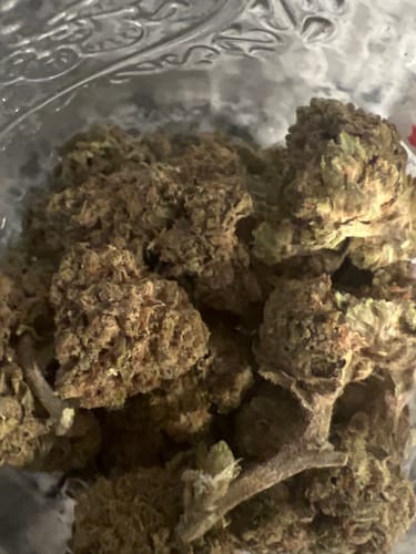 Customer photo review of White Truffle