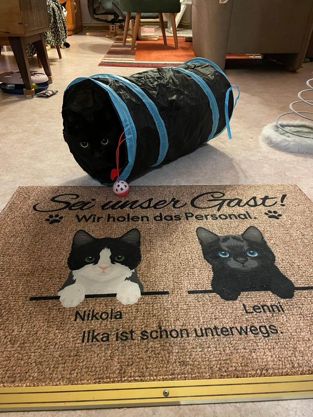 Customer photo review of Katzen holen ihr Personal - Individuelle Fußmatte
