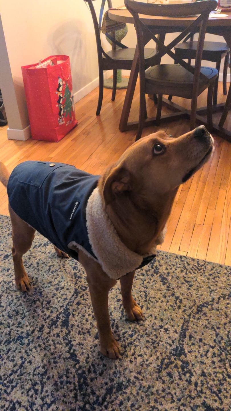 Customer photo review of Workdog Insulated Utility Jacket - Navy