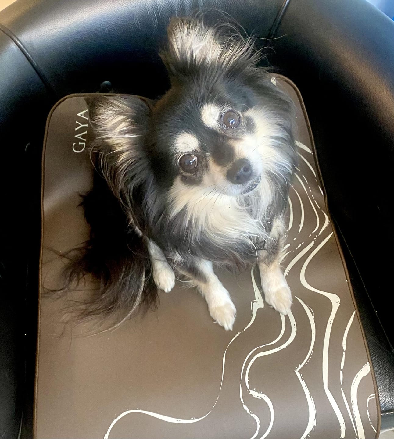Customer photo review of GAYA™ Grounding Mat