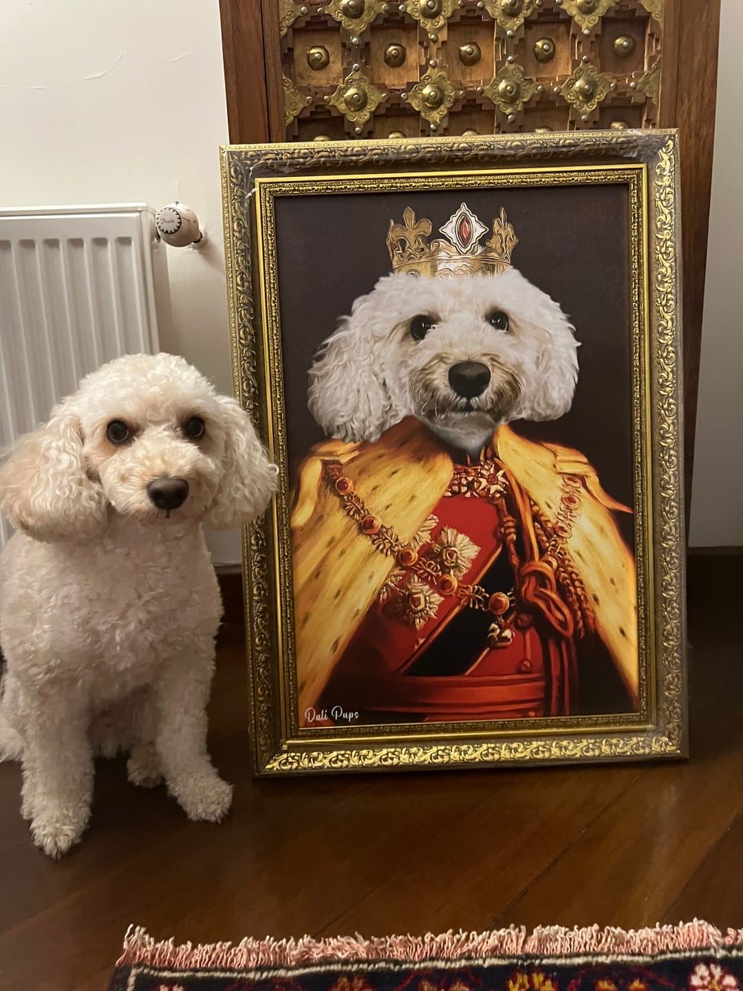 Customer photo review of The King of the Seven Kingdoms